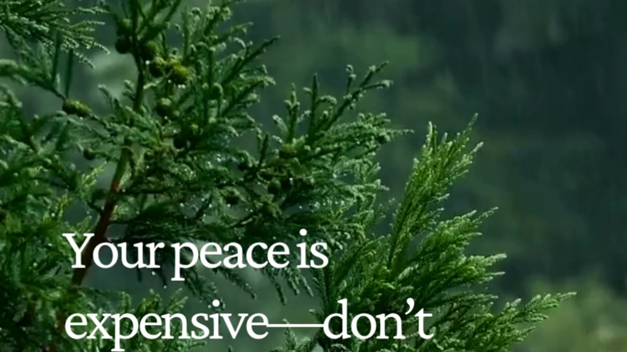 Protect Your Peace — Attention Isn’t Worth Your Sanity