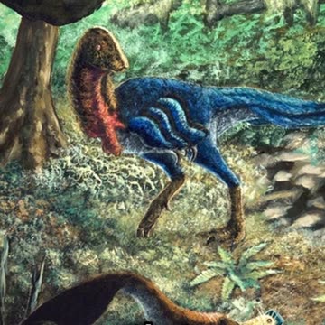 Eoneophron: The Dawn Chicken from Hell!