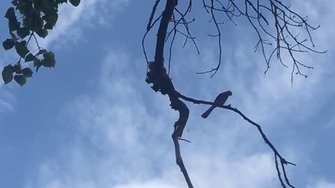 Echoed around the crisp sound of the birds