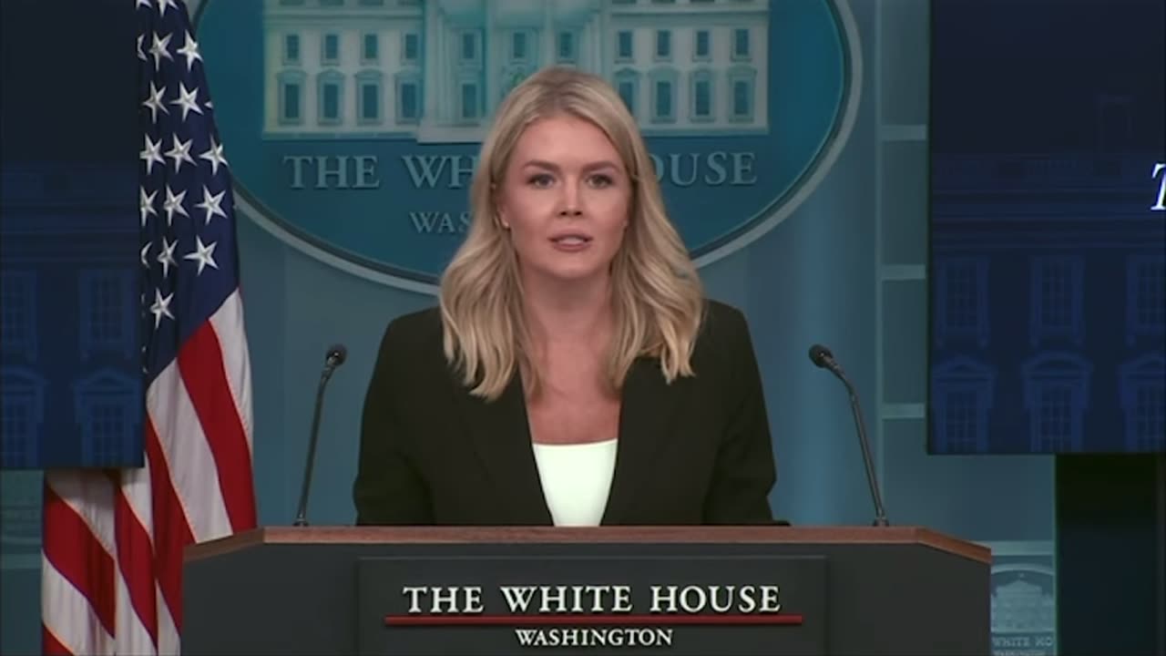 Karoline Leavitt responds to Democratic Congress members calling for violence