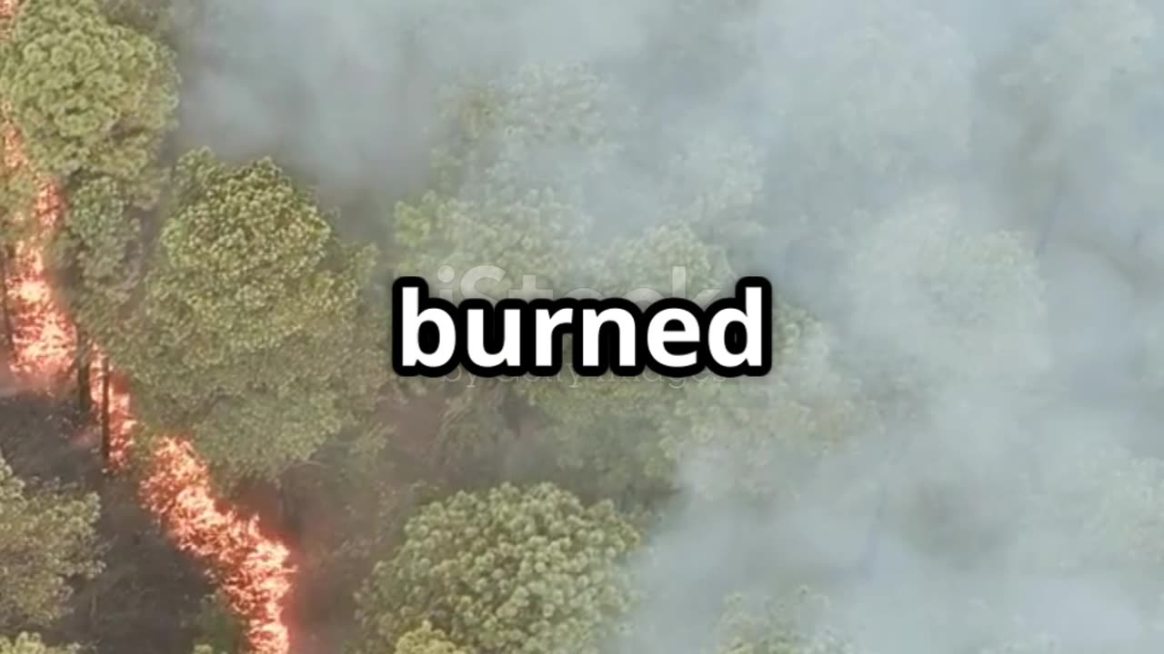 New Jersey Fires Evacuates Thousands!!!