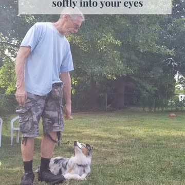 Back to the Basics: Lure Reward short 6