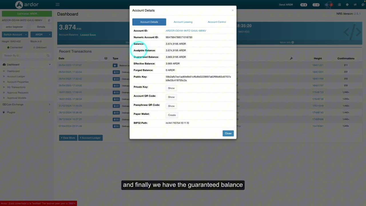 81 Understanding Ardor Blockchain Account Balances