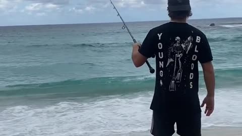 catching australian salmon