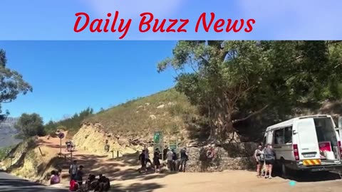 Table Mountain Robber Arrested After Violent Hiker Attack