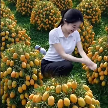 Viral and popular taste fruits🥭🍓🍉🍒🍇🍎 #fruit #nature #garden #gardening #vegetables