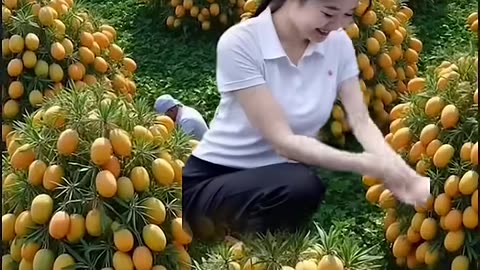 Viral and popular taste fruits🥭🍓🍉🍒🍇🍎 #fruit #nature #garden #gardening #vegetables