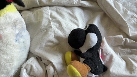 Why I have not been in Yoshi Green's video