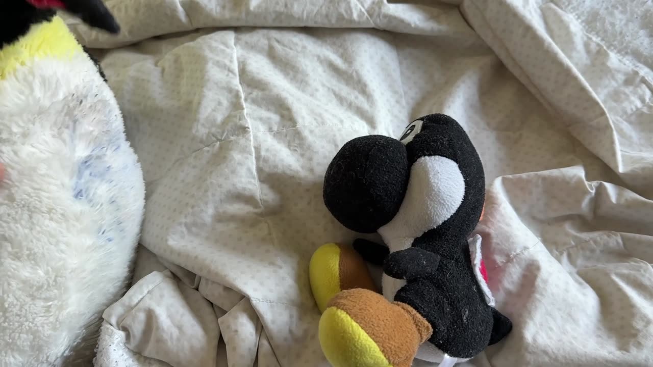 Why I have not been in Yoshi Green's video