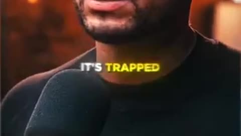 The Truth Behind The VIRAL Trapped Ant... 🤯🧠