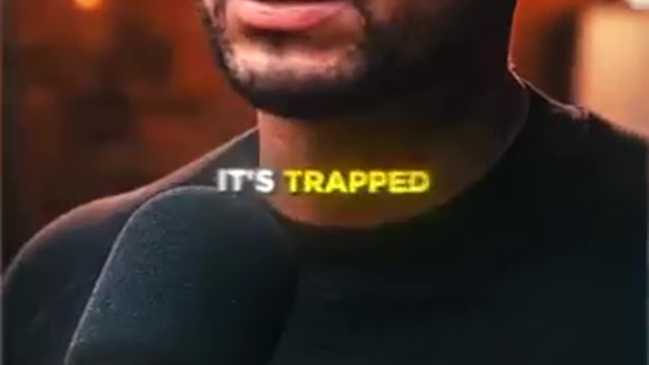 The Truth Behind The VIRAL Trapped Ant... 🤯🧠