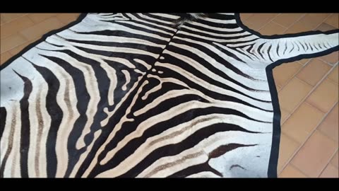 Zebra Rug Hide Felted BEAUTIFUL