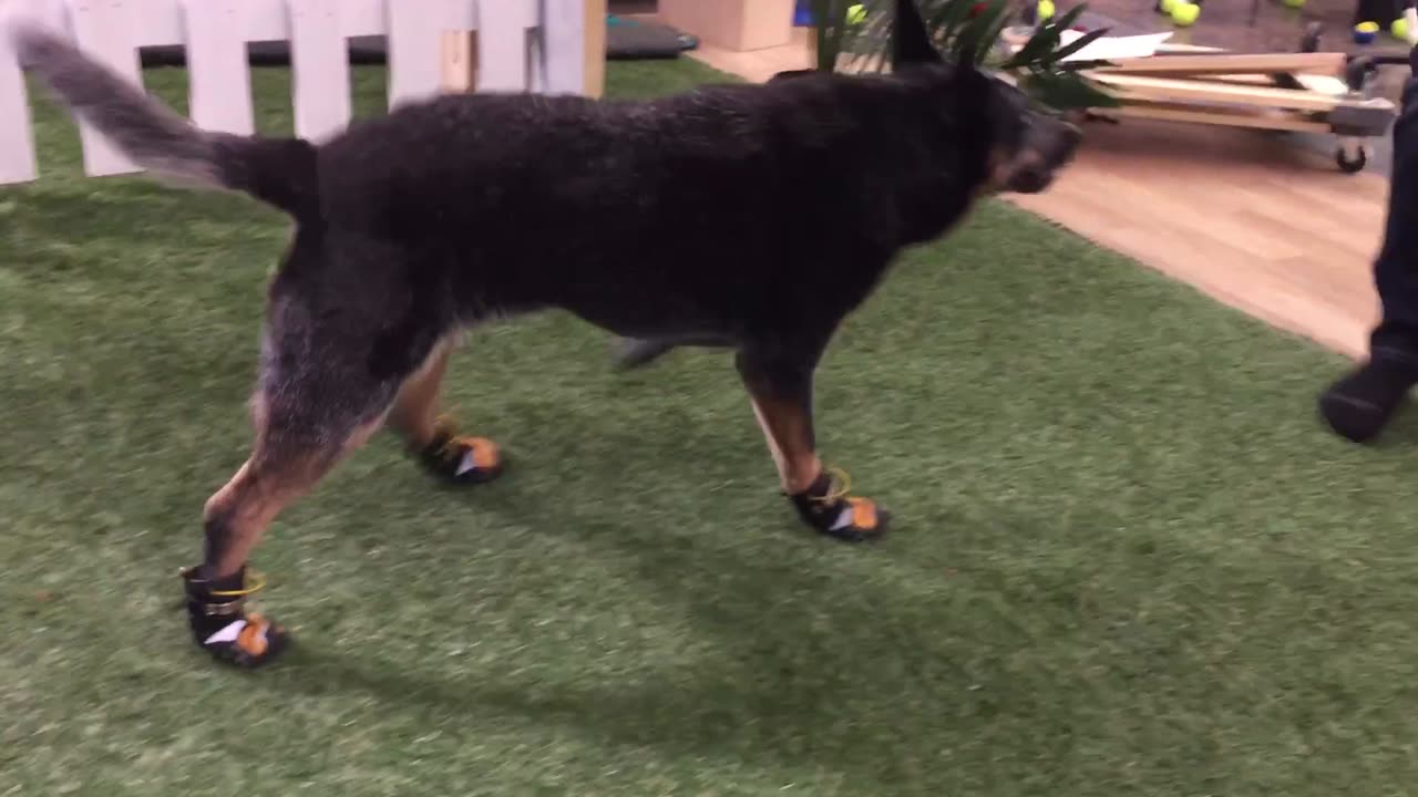 Fetching Sticks with Kicks