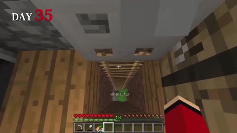 100 Days on a Volcanic Island in Minecraft