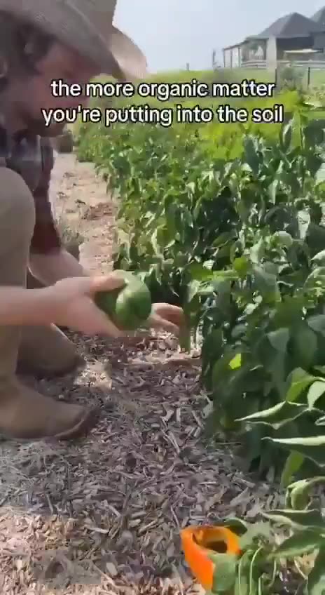 A few helpful tips for home gardening outside of "Big Ag/Big Fertilizer/Big Chemical" propaganda