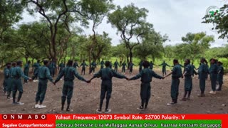 Oduu Waaree ONM-ABO Fulbaana 5-2025 itti dhiyaadhaa!