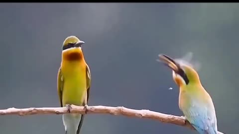 How Nature Works