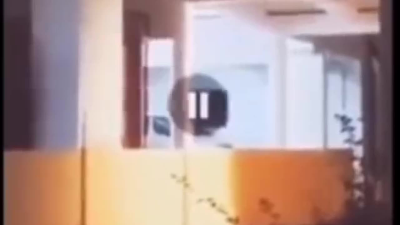 😨👻 What Is That? | TheHauntingHour