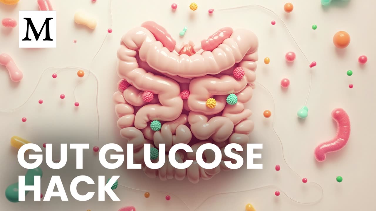 Your Gut Is Secretly Controlling Your Blood Sugar | Mercola Cellular Wisdom