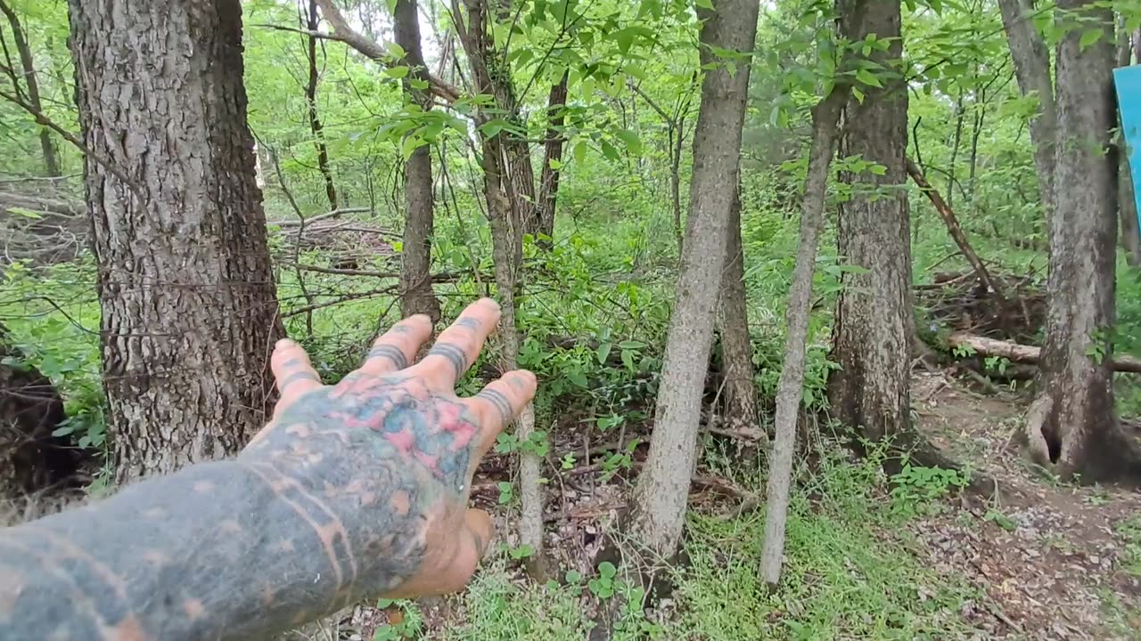 WHADIDO IN MY FOREST 2DAY - TREE HOUSE ? - RAAAMMMMMMMMMMMMMMMMM...