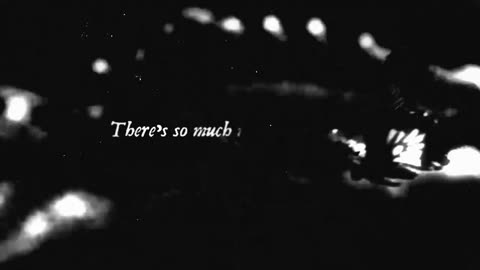 Palaye Royale wensday afternoon