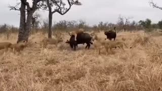 News Break