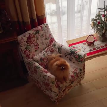 Home is a place where we can always return, it's warm, cozy and safe here.