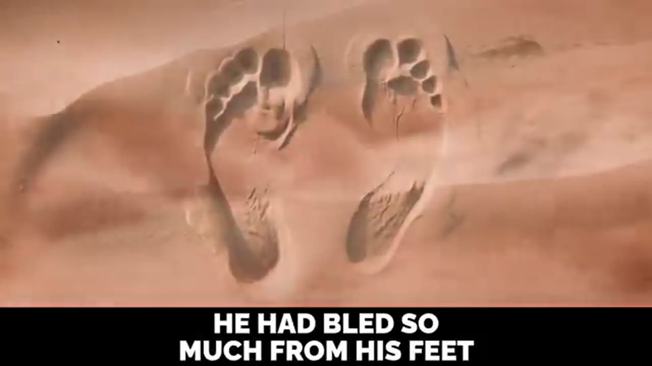 MOST BEAUTIFUL ISLAMIC VIDEO WE'VE EVER UPLOADED.