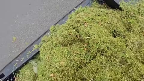 Night Shift Father Was READY To Mow But I Surprised His Family With THIS_part12