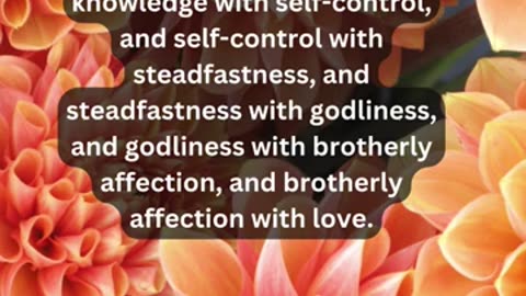 Journey of faith and spiritual growth 2 Peter 1:5-7 Daily Bible Verse