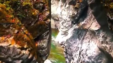 4k Video Ultra HD Nature Forest Beautiful Nature Video 4K Scenic Relaxation Music 4K Video