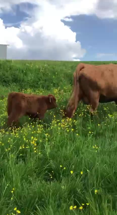 Mom and baby out for a stroll