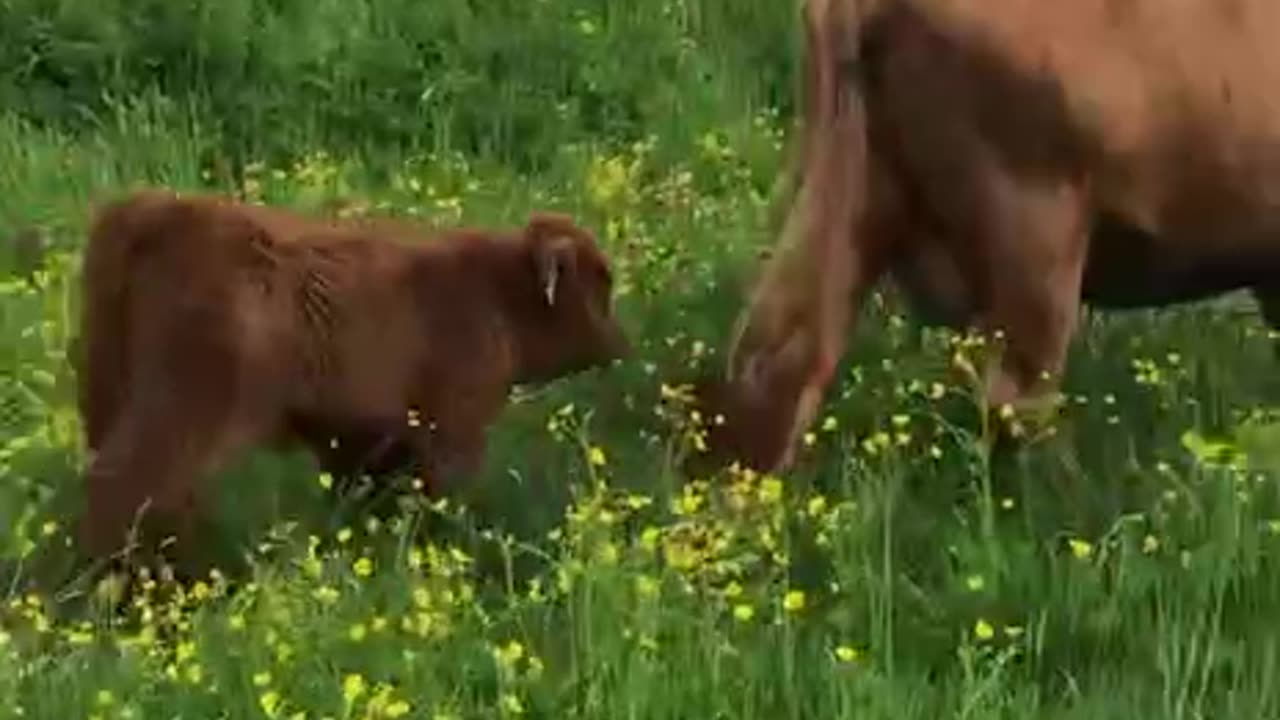 Mom and baby out for a stroll