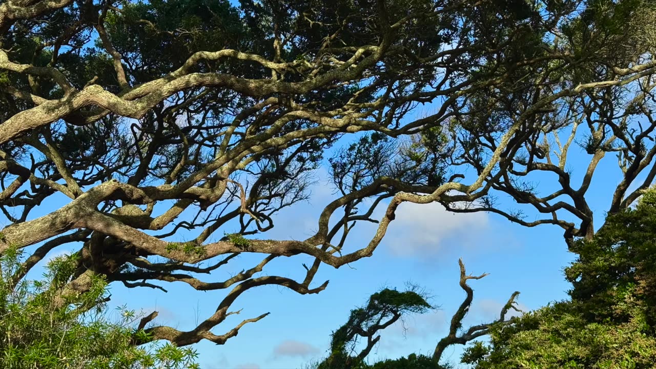 Jekyll Island, GA