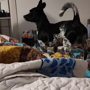 Sometimes baby boy wants his oranges