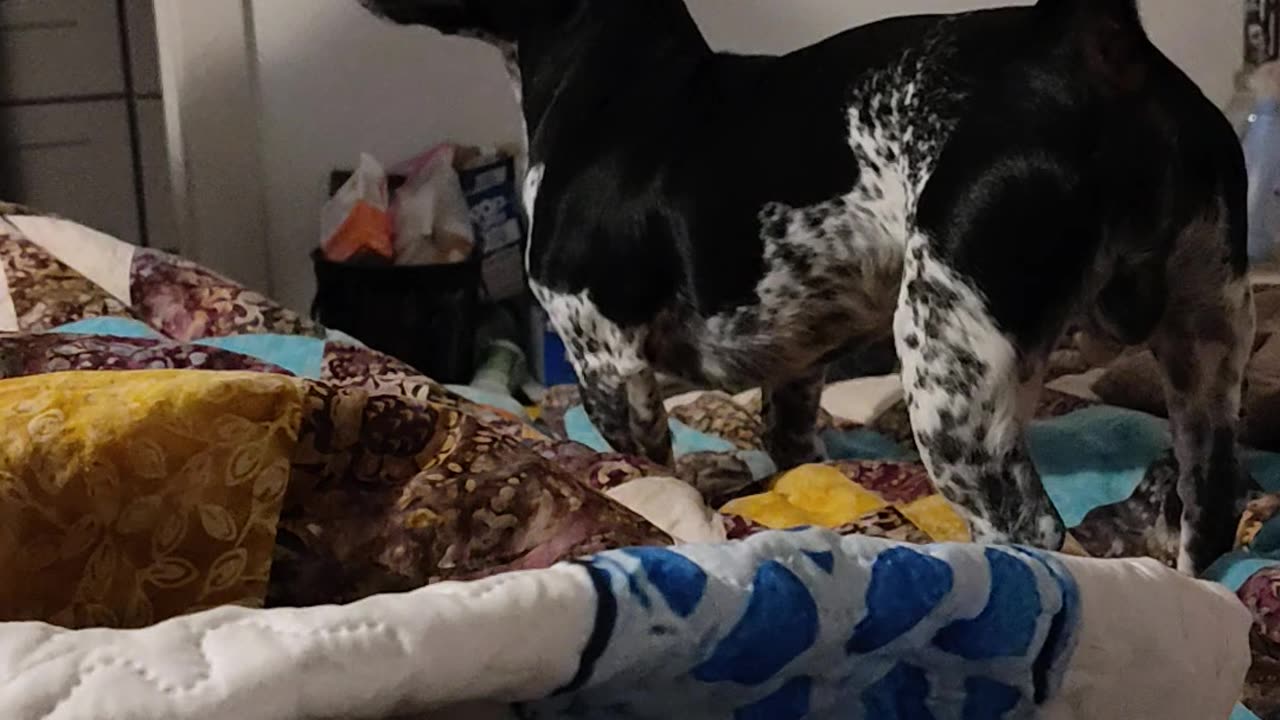 Sometimes baby boy wants his oranges