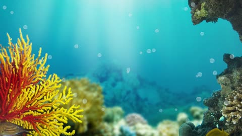 SEA OF LOVE