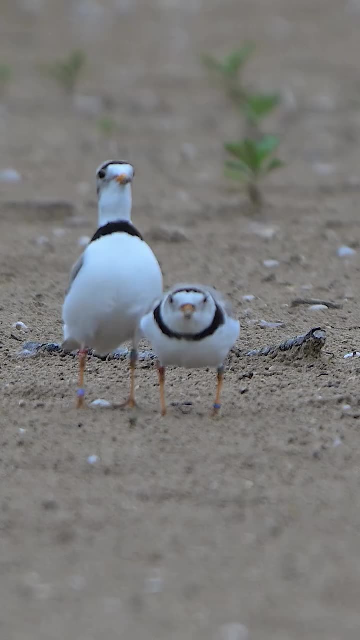 That marching 😂Like a little soldier