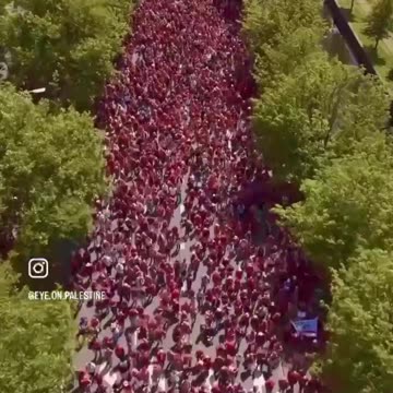 150000 persone a sostenere la Palestina.