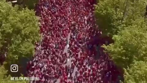 150000 persone a sostenere la Palestina.