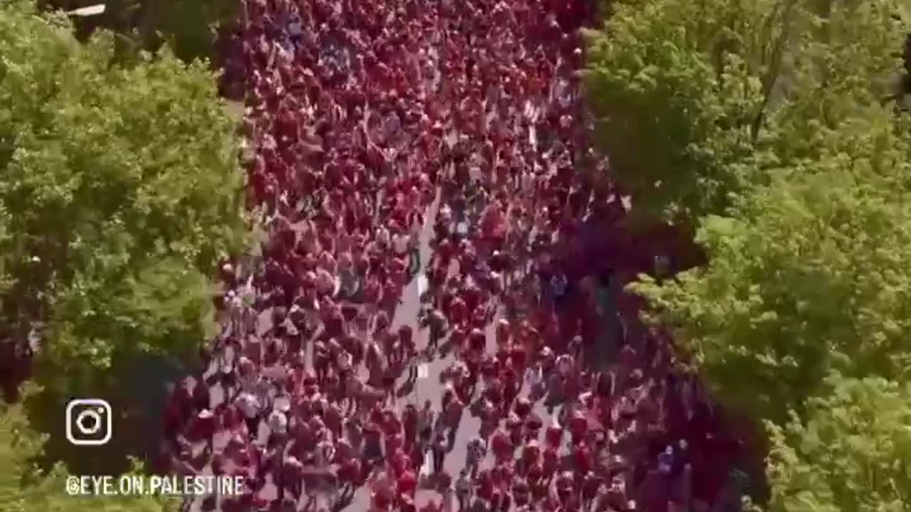 150000 persone a sostenere la Palestina.
