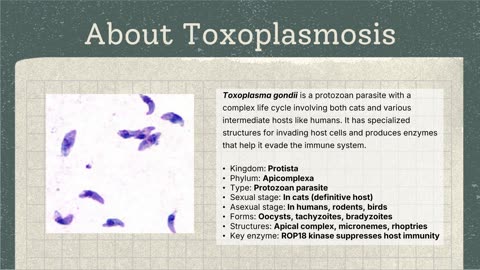 Toxoplasmosis Presentation