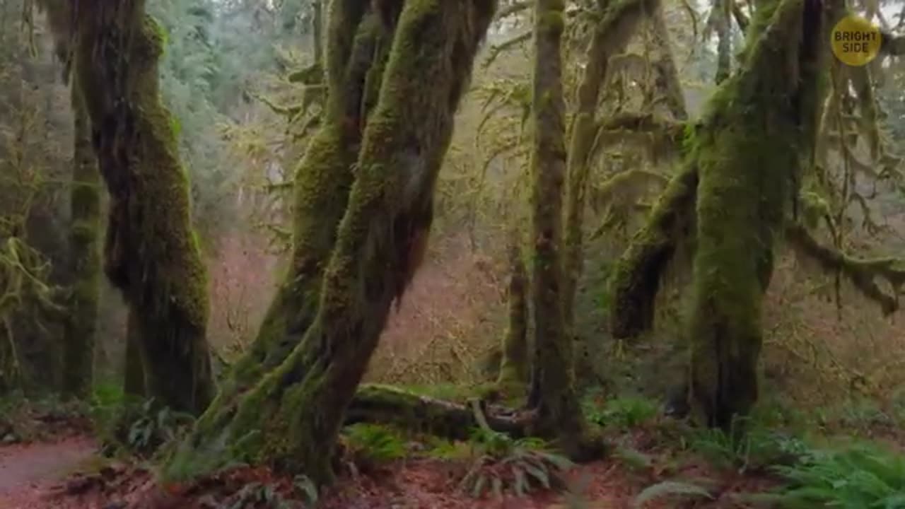 A ‘Real-Life Loch Ness Monster’ Was Found in Antarctica