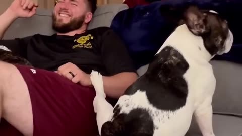 Pet him