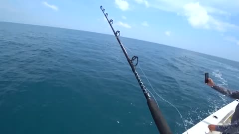 pesca a pesci grossi o big fi1grande squalo martello_part21