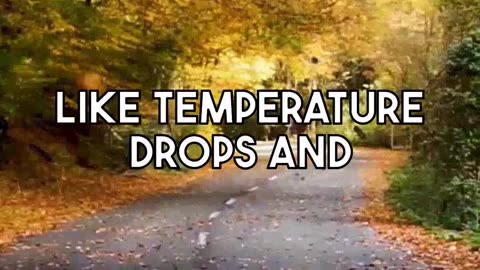Fall Foliage Destinations: New England vs Colorado Examined