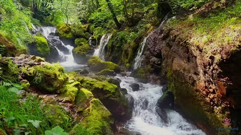 Stress Relief and Deep Sleep | Peaceful Piano + Rain Ambience, Relaxing Music For Insomnia, Chilling