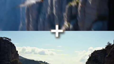 Birds + Nature (Condor, Hawk, Raven, Common Kestrel) (2160p60)
