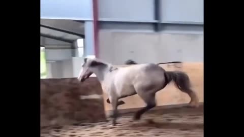 😂🏃‍♂️ I Can Take Every Hurdle! | FunFM