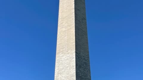 Nimmys Penis